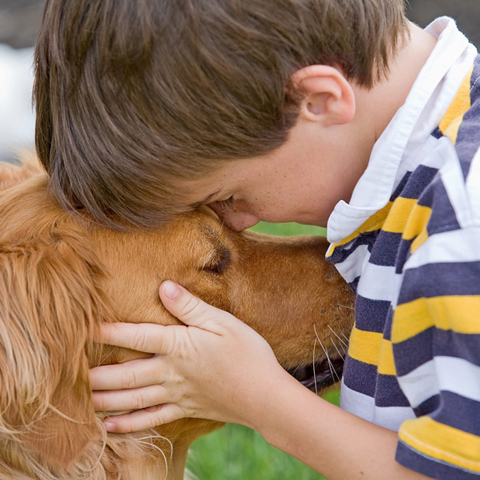 EQUIMED Veterinaria